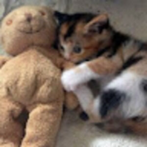 Meet your Posher, Kaylee